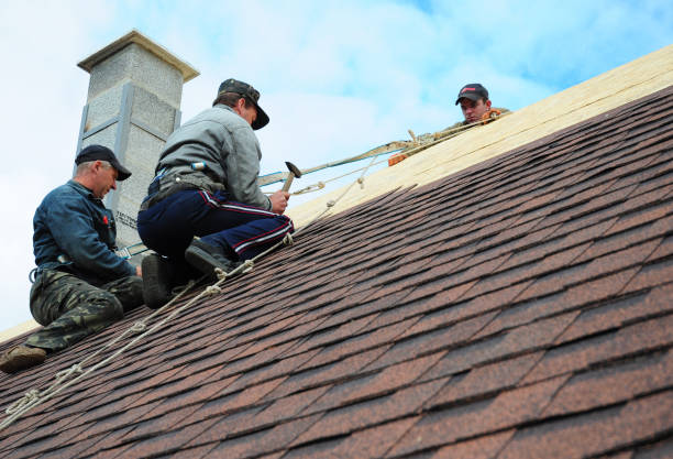 Best Roof Maintenance Services  in Coral Hills, MD