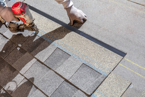 Best Sealant for Roof  in Coral Hills, MD